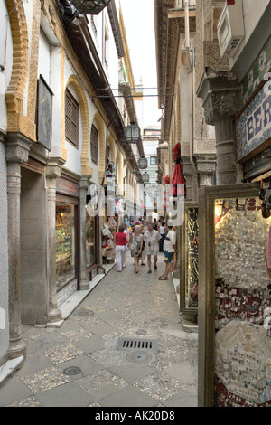 La Alcaiceria, Zacatin zona nei pressi della Cattedrale, Granada, Andalusia Foto Stock