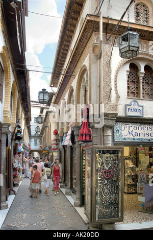 La Alcaiceria, Zacatin zona nei pressi della Cattedrale, Granada, Andalusia Foto Stock