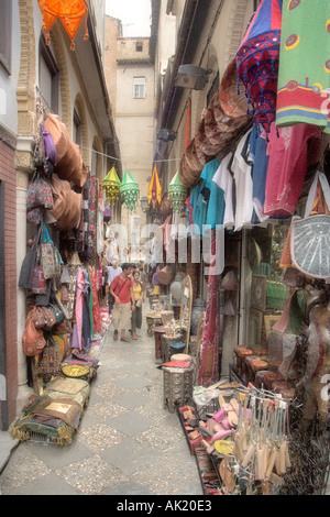 Soft focus shot di La Alcaiceria, Zacatin zona nei pressi della Cattedrale, Granada, Andalusia Foto Stock