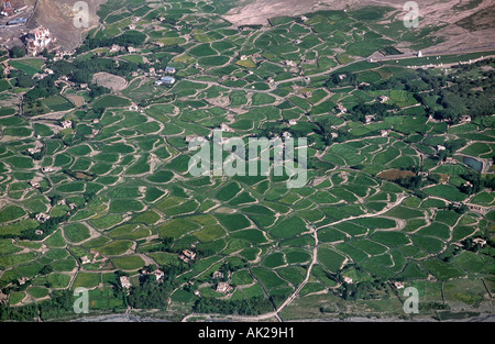 Vista sulle lussureggianti campi irrigati nella valle accanto a Stok Palace vicino a Leh Ladakh India del Nord vista da un aereo di linea su ap Foto Stock