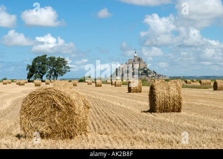 Vista di Mont Saint-Michel attraverso nuovi campi di raccolto, Normandia, Francia Foto Stock