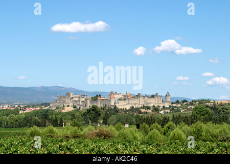 Vista lontane attraverso i vigneti della Cite de Carcassonne (città medievale fortificata), Aude, Languedoc, Francia Foto Stock