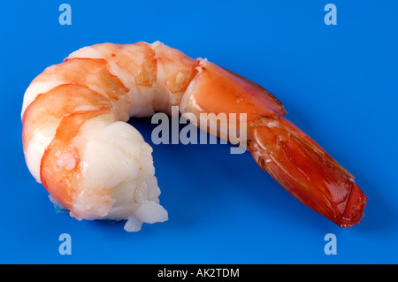 King Prawn Foto Stock