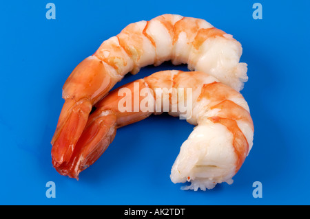 King Prawn Foto Stock