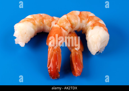 King Prawn Foto Stock