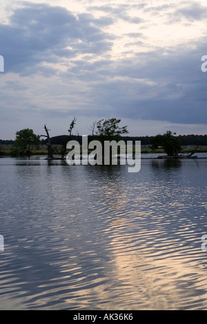 Una vista sul lago vicino grande Livermere e Ampton nel Suffolk, Regno Unito Foto Stock