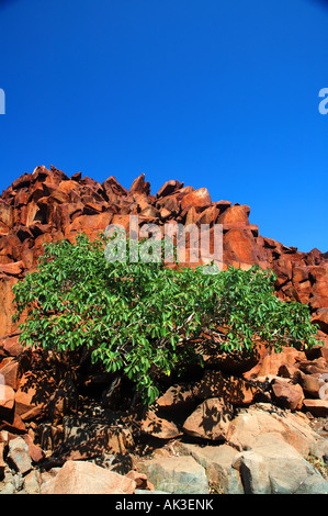 Piccola struttura boab nella spettacolare antica arte rupestre degli Aborigeni sito di gola profonda, penisola di Burrup, Australia occidentale Foto Stock