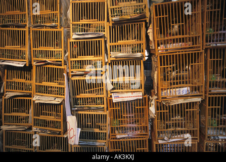 Uccelli in piccole gabbie a Mongkok Bird Market Hong Kong Cina Foto Stock