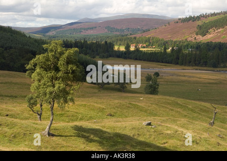 Valle del fiume Dee zona di catchement superiore, a Mar Lodge Estate, Royal Deeside, Cairngorms National Park, Scozia, Regno Unito Foto Stock