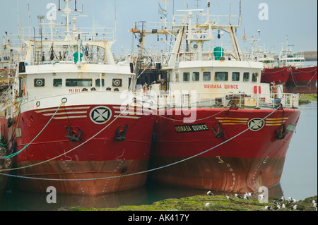 Barche da pesca in Puerto Deseado Patagonia Argentina Foto Stock