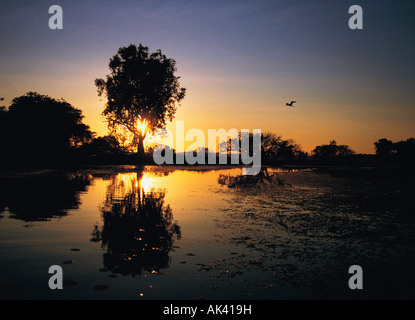 Australia, Territorio Nord, Kakadu NP, Acque Gialle, tramonto sul fiume, Foto Stock