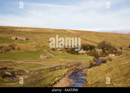 Vista Birkdale comune con il fiume Swale e montane hill farm in Yorkshire Dales National Park North Yorkshire England Regno Unito Foto Stock