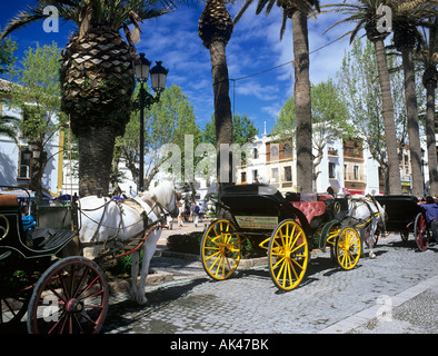 Cavallo e Carrozza su Balcón de Europa promenade in attesa di dare turistico corse tour città rotonda Foto Stock