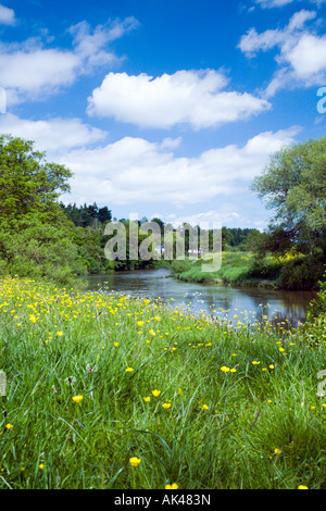Fiume Wye vicino a Goodrich Herefordshire sulla calda giornata di primavera Foto Stock