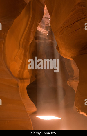 ARIZONA Antelope Canyon slot di un albero di luce del sole incandescente contro colorate Pareti di pietra arenaria formazioni pagina NORD AZ Foto Stock