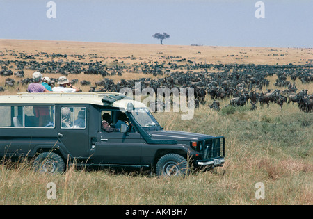 Toyota Landcruiser su un game drive attraverso grandi mandrie di gnu che pascolano nella Riserva Nazionale di Masai Mara Kenya Foto Stock