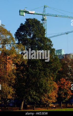 Sviluppo Quartermile dai prati , Edimburgo, Regno Unito Foto Stock