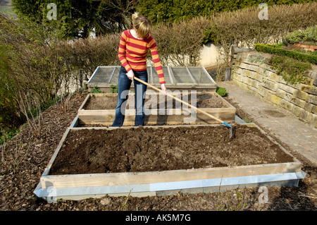 Donna preparazione letto di verdure Foto Stock