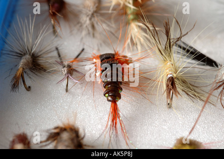 Pesca a mosca mosche Foto Stock