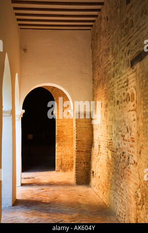 Patio de Los Leones Alhambra Palace Granada Spagna Foto Stock