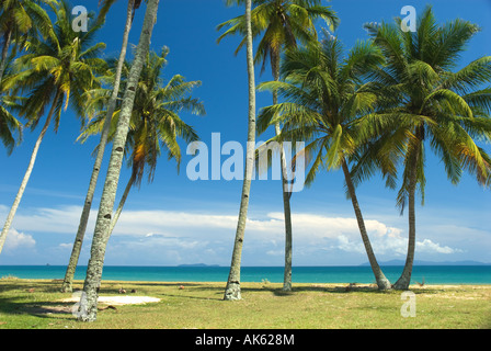 Spiagge di sabbia di Terengganu, Malaysia. Foto Stock