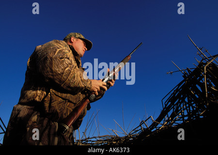 California, Suisin Marsh, anatre caccia, possibile Club Foto Stock