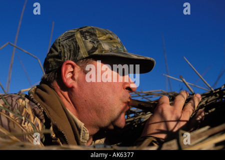 California, Suisin Marsh, anatre caccia, possibile Club Foto Stock