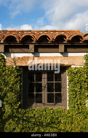 Di stile Spagnolo a parete esterna coperta nel verde Foto Stock