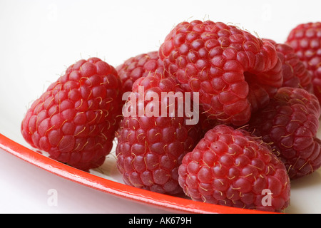 Lamponi freschi Rubus idaeus su una piastra Foto Stock