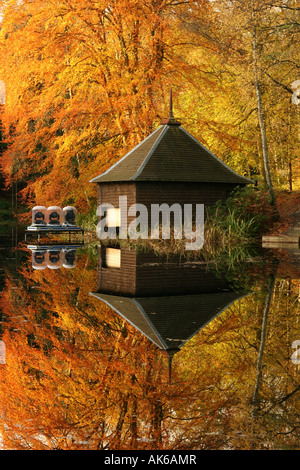 Colori dell'autunno in legno Faskally riflessa in Loch Dunmore Foto Stock