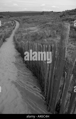 Dune Bantham South Devon Regno Unito Foto Stock