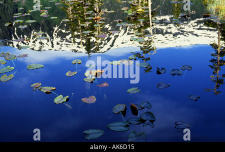 Le riflessioni di innevate per le creste mostra in un piccolo laghetto di montagna, Endicott penisola a sud-est di Alaska Foto Stock