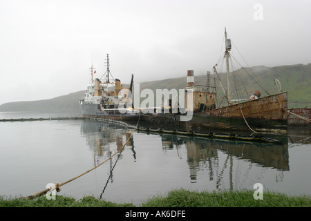 Abbandonate la nave baleniera giacenti a Grytviken ,Georgia del Sud, sub Antartico isola ed Ex stazione baleniera Foto Stock