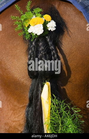 Decorate il cavallo di coda / Bad Tolz Foto Stock