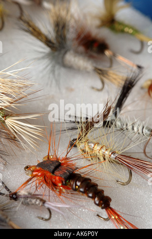 Raccolta di Fly Fishing Fly Foto Stock