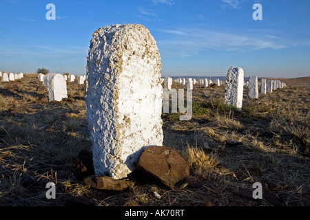 Arlington Southwest prima di veterani di guerra permanente per la pace memorial Foto Stock