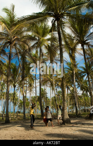 Locali di ragazzi che giocano a calcio o il calcio sotto centinaia di alberi di noce di cocco in Terengganu Malaysia Foto Stock