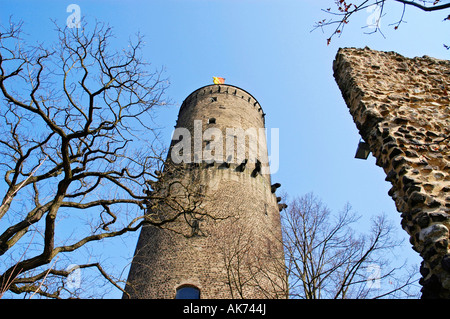 Castello Godesburg / Bad Godesberg Foto Stock