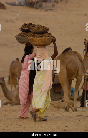 Le donne la raccolta del letame. Il cammello e il letame di mucca sono raccolti ed essiccati per essere utilizzata per la cottura di incendi. Pushkar, Rajasthan. INDIA Foto Stock