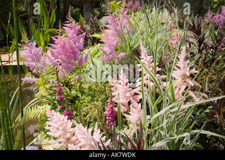 Dettaglio della crescente scuole giardino da Chris Beardshaw a Hampton Court flower show Foto Stock