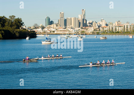 La mattina presto i canottieri sulla Hamilton raggiungere il fiume Brisbane centro di Brisbane in background Queensland Australia Foto Stock