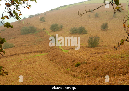 Offa's Dyke sulla collina Herrock Foto Stock