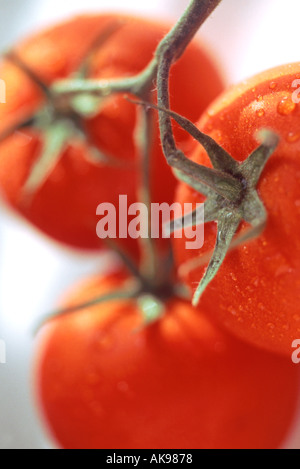 Chiudere fino a tre pomodori Foto Stock