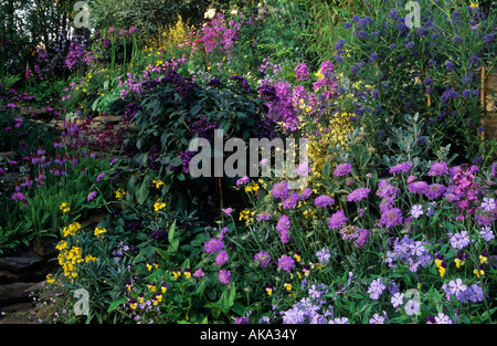 Butterfly Garden design Marnie Hall scabious Phlox Heliotrope Foto Stock