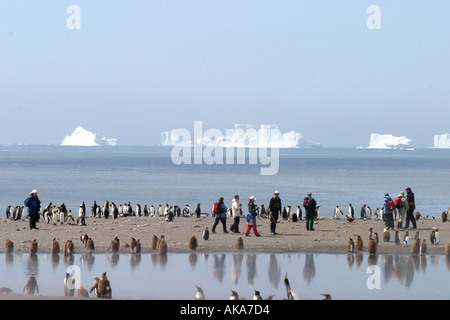 Turisti e re pinguini sulla spiaggia di Baia di St Andrews Isola Georgia del Sud Scotia Sea Foto Stock