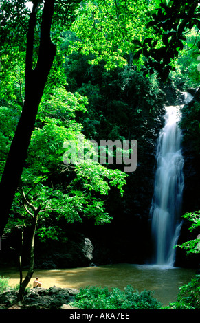 Uomo in un momento di relax a una cascata. Montezuma. Nicoya peninsula. Costa Rica Foto Stock