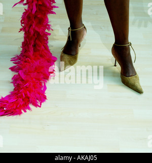 Donna nera e marrone e scarpe in pelle scamosciata con Rosa Boa di piume Foto Stock