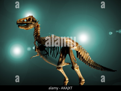 Scheletro di dinosauro Dinosaurier Skelett Foto Stock