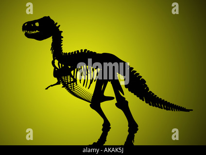 Scheletro di dinosauro Dinosaurier Skelett Foto Stock