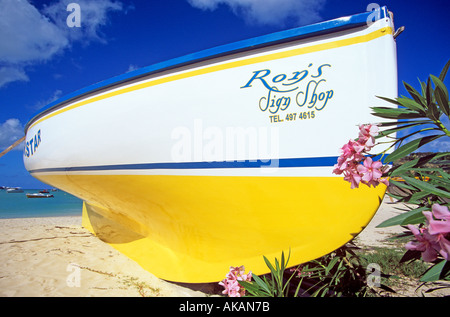 Dipinto luminosamente locale giorno di vela barca Anguilla Caraibi tirato fino alla spiaggia Foto Stock